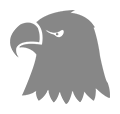 eagle icon